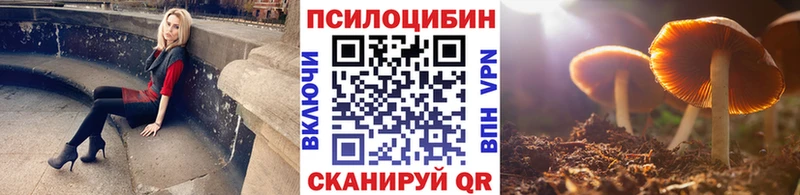 OMG ссылка Лермонтов Псилоцибиновые грибы прущие грибы