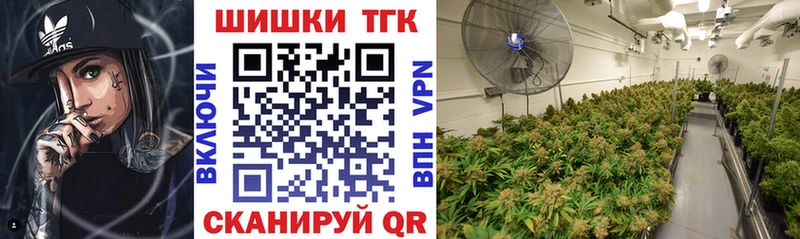 где найти наркотики Лермонтов mega Каннабис Amnesia